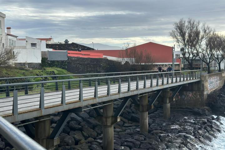 People walking on a bridge over rocky shore, with houses and trees in the background.