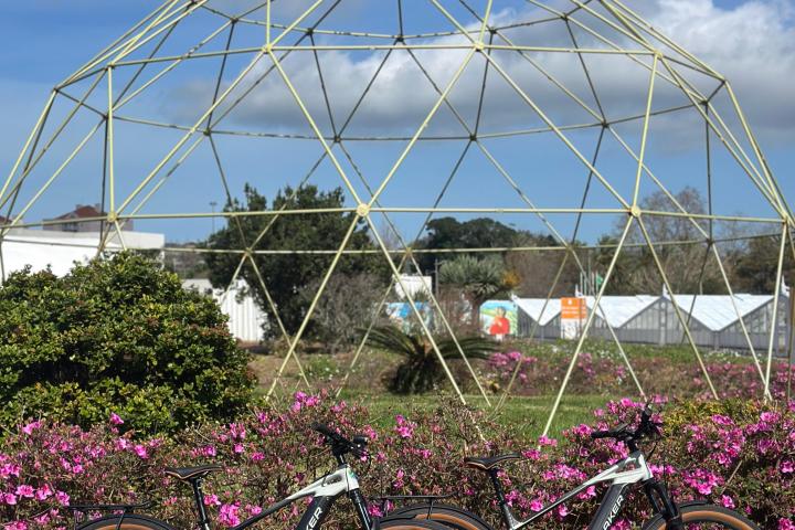 Two bikes on a path with a metal dome structure in the background, surrounded by pink flowers.
