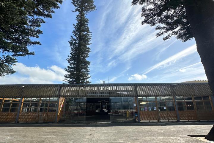 Trees framing a modern building with large glass doors under a blue sky.