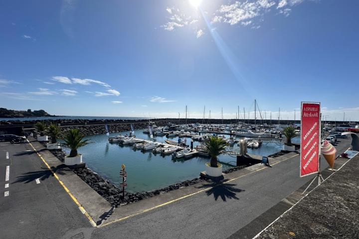 Sunny marina with boats docked, palm trees, and an ice cream shop sign on the right.