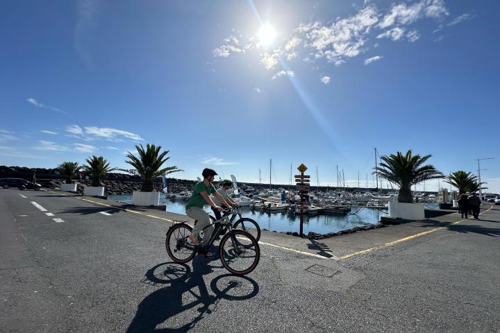 Person cycling near a marina with sailboats on a sunny day.